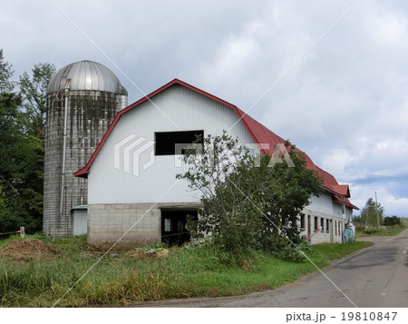 北海道 十勝地方 牧場のある風景 北海道 十勝地方 牧場のある風景 19810847