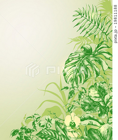 Natural  Background with  tropical plants. 19811188