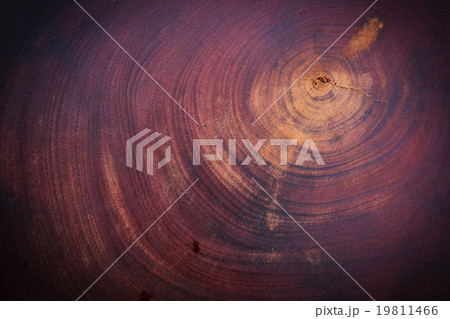wood texture background 19811466