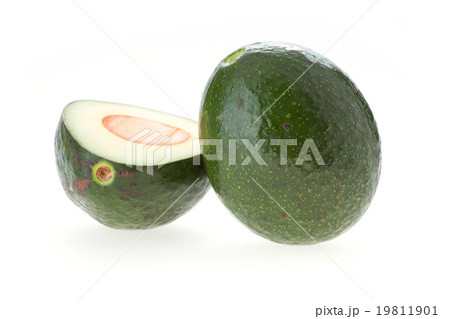 avocado green fruit isolated white background 19811901