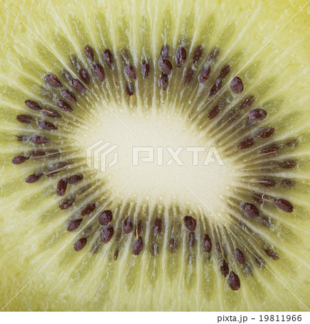 kiwi fruit, close up image kiwi fruit, close up image 19811966
