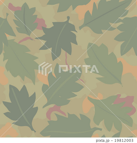 Military Camouflage Textile Pattern 19812003