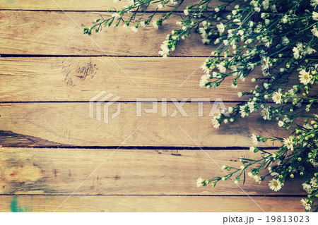 Flowers on wood texture background with copyspace. 19813023