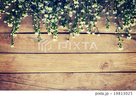 Flowers on wood texture background with copyspace. 19813025