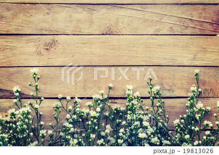 Flowers on wood texture background with copyspace. Flowers on wood texture background with copyspace. 19813026