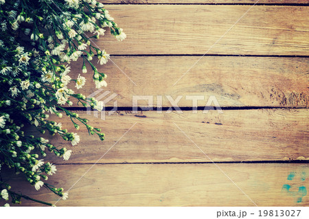 Flowers on wood texture background with copyspace. 19813027
