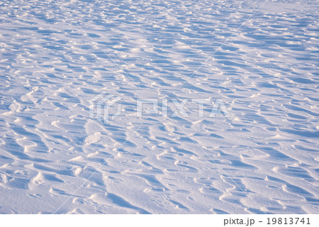 雪原 19813741