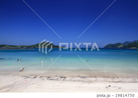 柿の浜　1 19814750