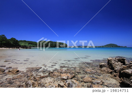 柿の浜　2 19814751