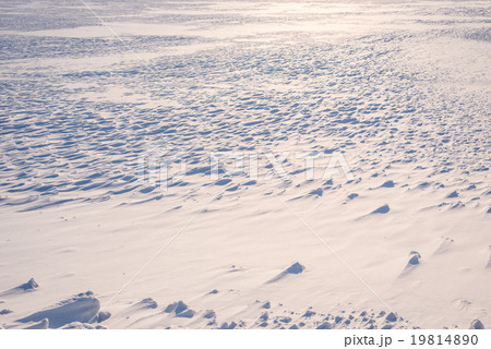 雪原 19814890