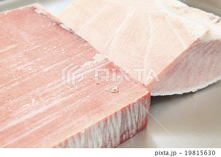 冷凍マグロ 19815630