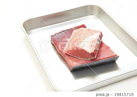 自然解凍した冷凍マグロ 自然解凍した冷凍マグロ 19815710