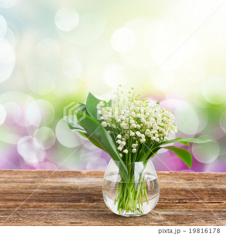 Lilly of valley on wood  19816178