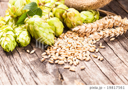 The Beer concept 19817561