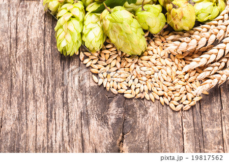 The Beer concept 19817562