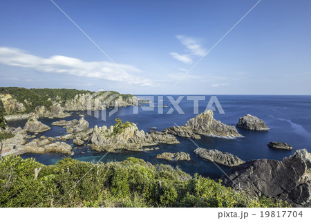 海金剛 海金剛 19817704