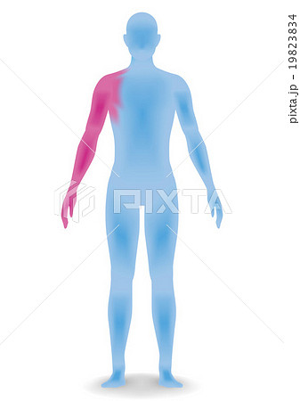 立体的な人体のシルエット　ベクターイラスト 19823834