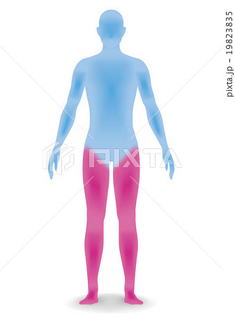 立体的な人体のシルエット　ベクターイラスト 19823835