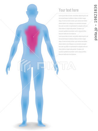 立体的な人体のシルエット　ベクターイラスト 19823836