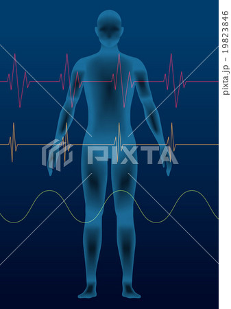 立体的な人体のシルエットとバイタルサイン　ベクターイラスト 19823846