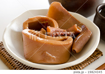 缶詰の味付イカ 缶詰の味付イカ 19824345