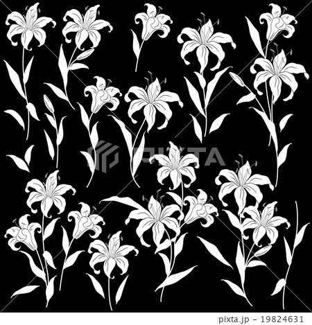 ユリのイラストのイラスト素材