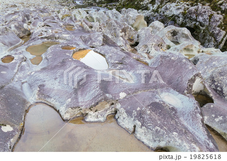 滝の拝(和歌山県古座川町) 滝の拝(和歌山県古座川町) 19825618