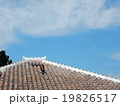 竹富島の屋根のシーサー 19826517