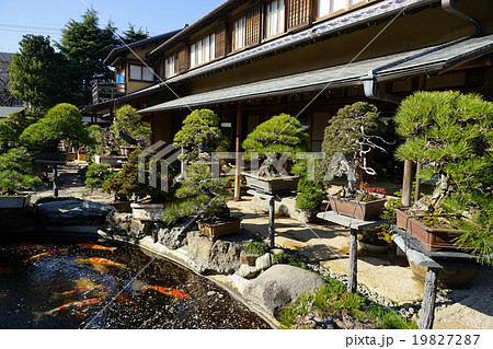 1月春花園BONSAI美術館14盆栽と錦鯉 1月春花園BONSAI美術館14盆栽と錦鯉 19827287