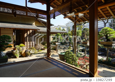 1月春花園BONSAI美術館26盆栽 1月春花園BONSAI美術館26盆栽 19827299