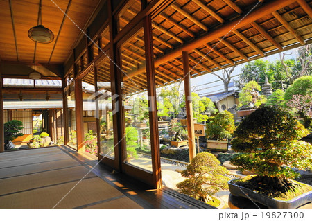 1月春花園BONSAI美術館27盆栽 1月春花園BONSAI美術館27盆栽 19827300