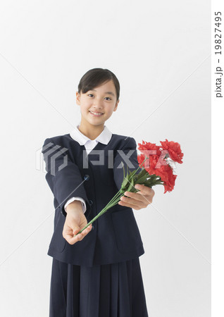 母の日イメージ 母の日イメージ 19827495