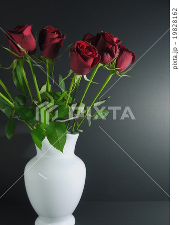 白い花瓶の中の赤い薔薇の写真素材