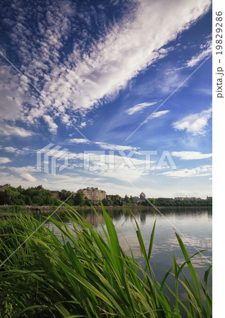 scenic lake in the summer park 19829286