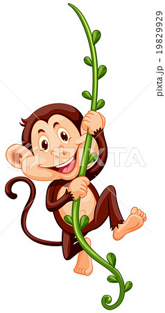 Monkey climbing up the vine 19829929