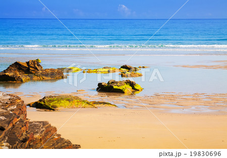 Wild sand beach at ocean coast 19830696
