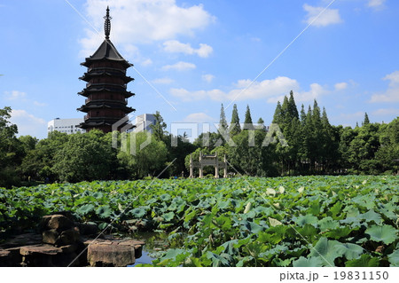 湖州 飛英公園 湖州 飛英公園 19831150
