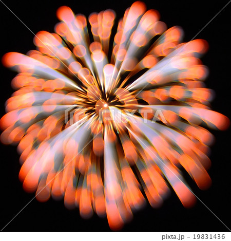 アート花火 19831436