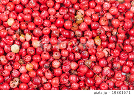 many red pepper peppercorns 19831671