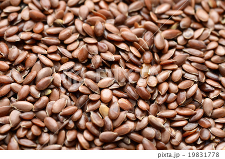 Organic Flax seed 19831778