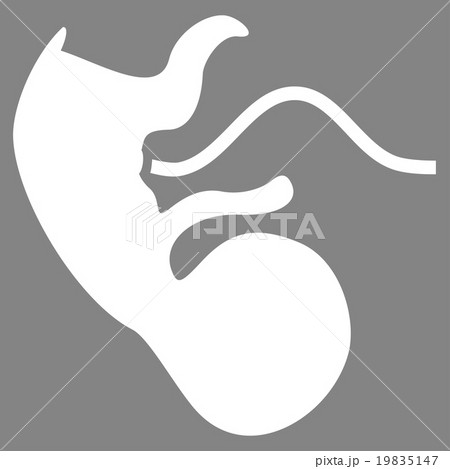 Ape Embryo Vector Icon Ape Embryo Vector Icon 19835147