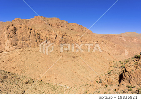 カスバ街道のトドラ峡谷 カスバ街道のトドラ峡谷 19836921