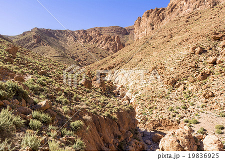 カスバ街道のトドラ峡谷 カスバ街道のトドラ峡谷 19836925
