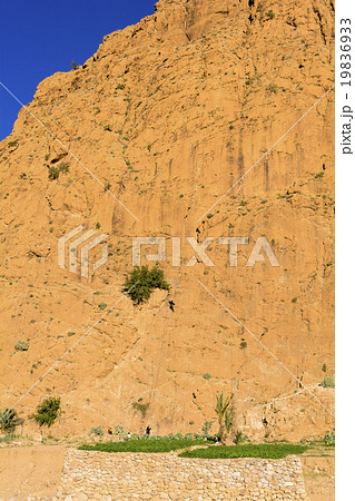 カスバ街道のトドラ峡谷 カスバ街道のトドラ峡谷 19836933