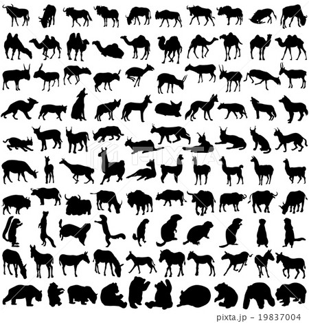 Hundred silhouettes of wild animals from Asia and  19837004
