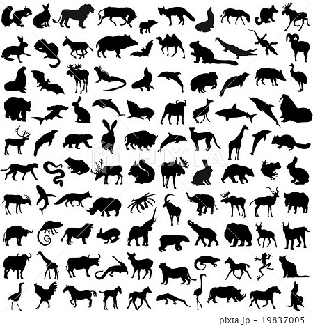 Hundred silhouettes of wild animals, birds and rep 19837005