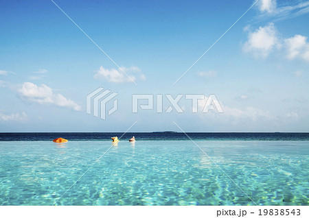 Infinity Pool in Maldives Beauty In Nature Concept 19838543