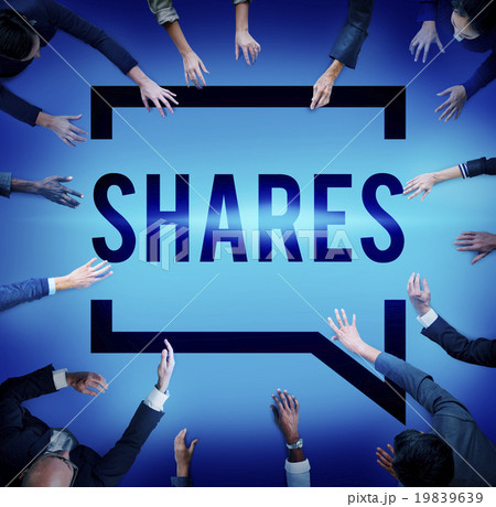 Shares Shareholder Asset Contribution Proportion Concept 19839639