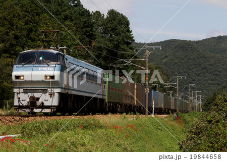 EF66　100番台　コンテナ貨物列車 19844658