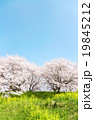 日本の春の風景 19845212
